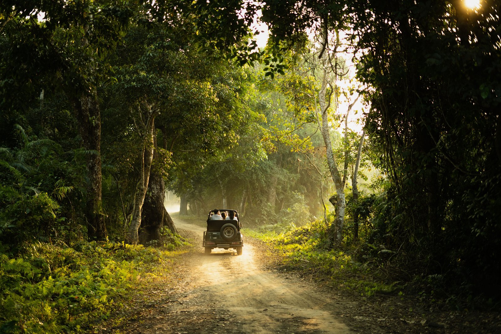 Wildlife Jungle Safari Dandeli Karnataka
