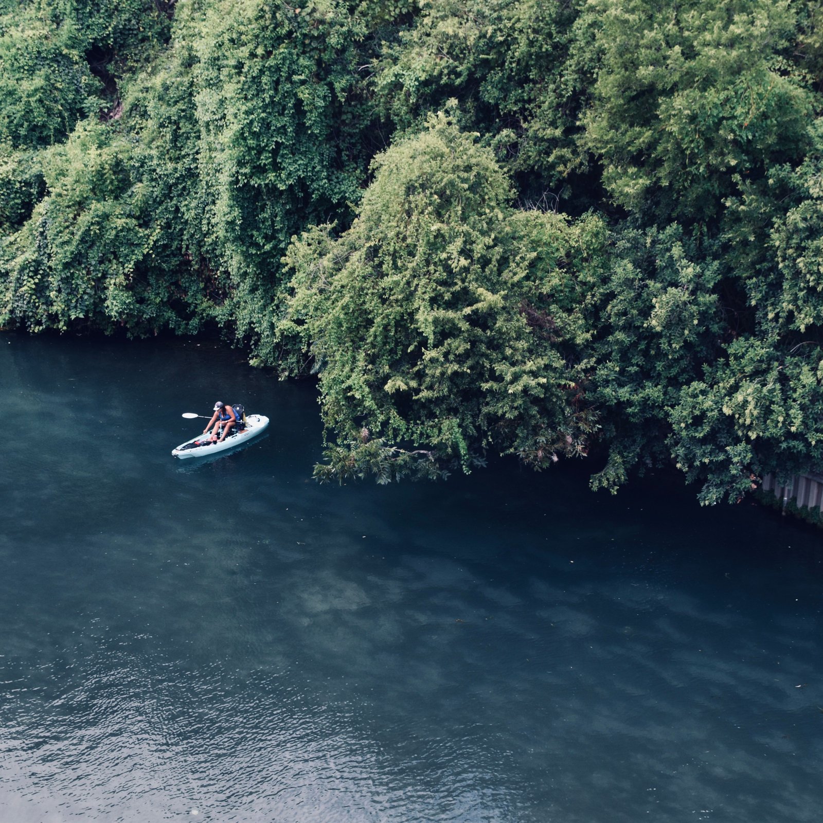 Kali River Kayaking Activity Dandeli