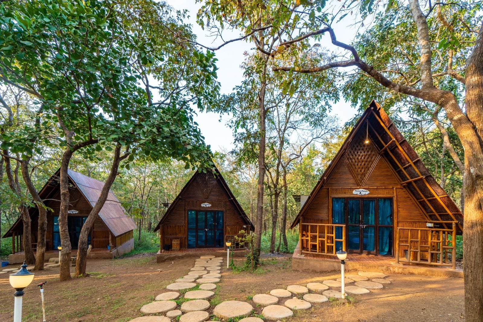 Forest Nature Trails Trekking Dandeli